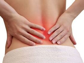 The causes of back pain at the lower back